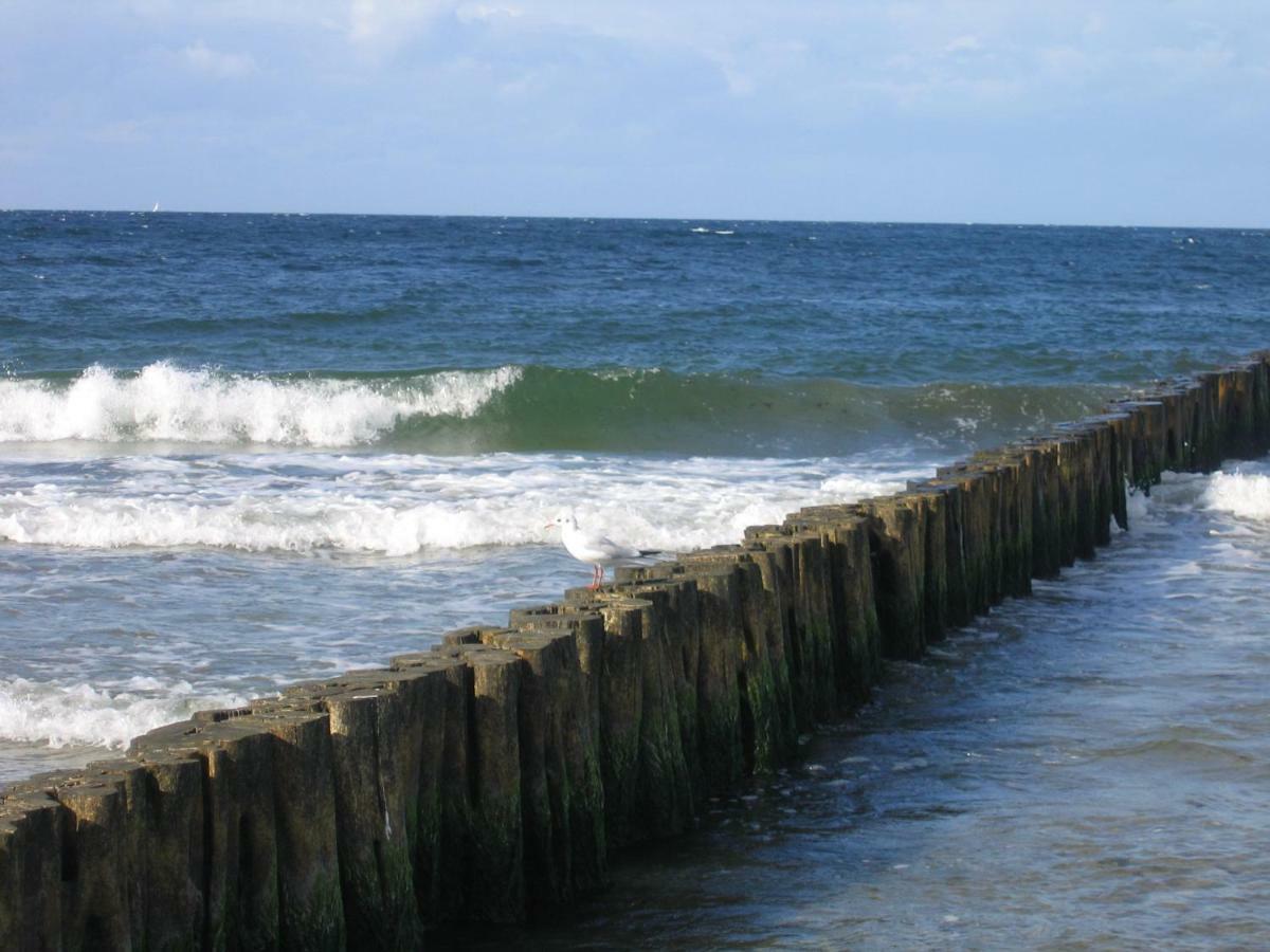 "Strand-Gut" Börgerende-Rethwisch Zewnętrze zdjęcie